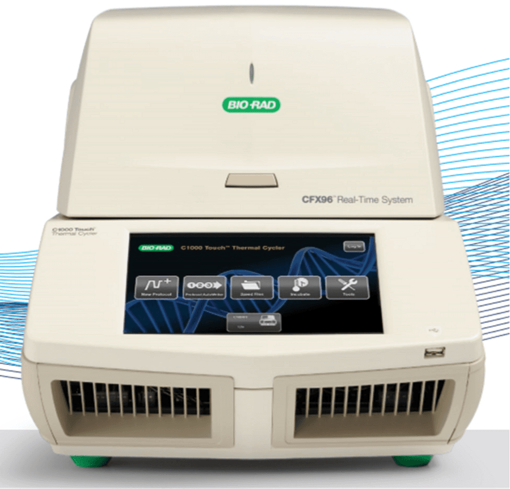 RTPCR Kit
